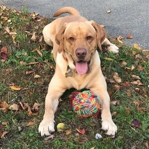 Meet your Posher, Tammy